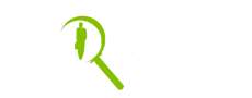 Pro-Tech Search